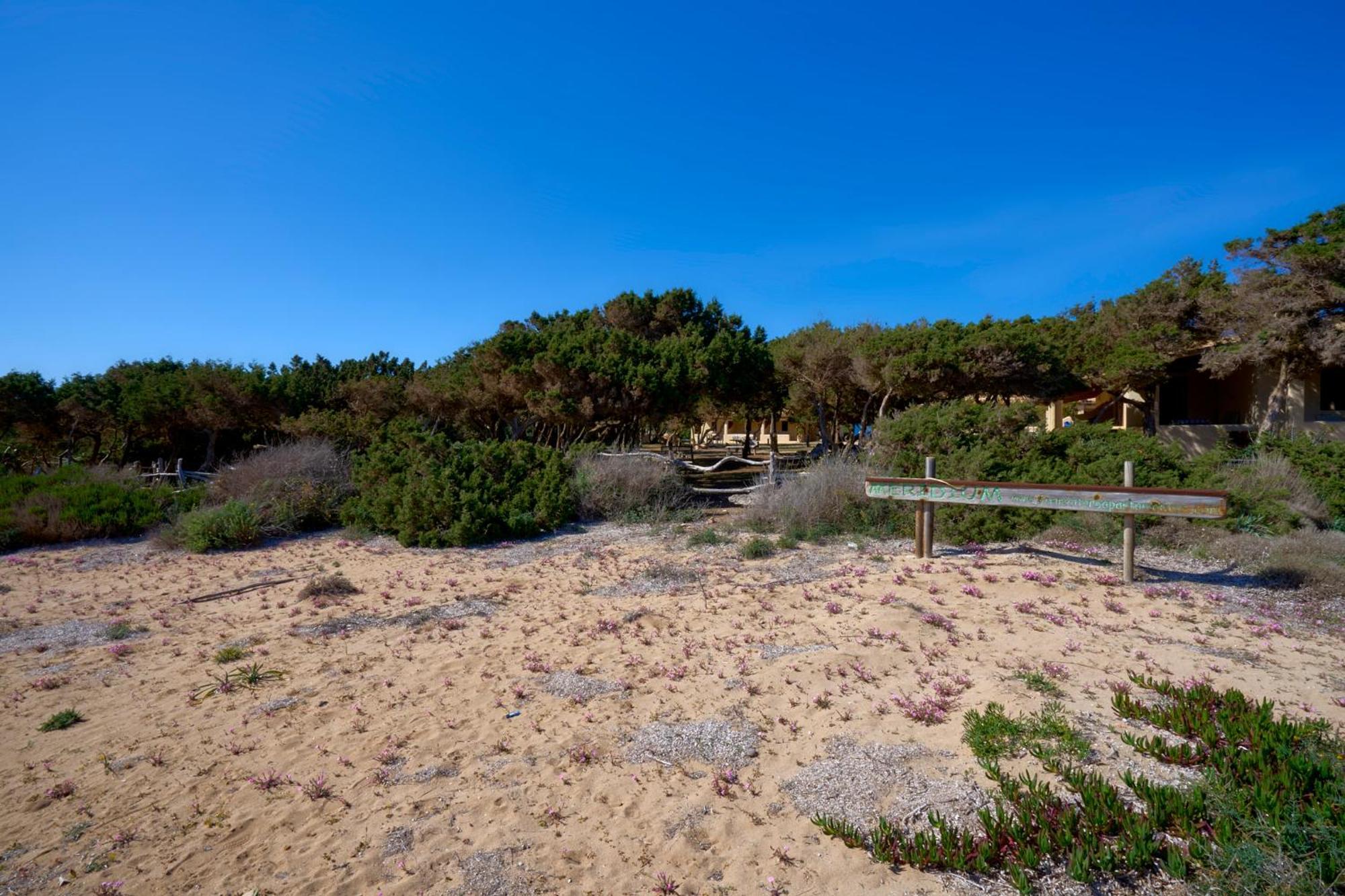 Meridium Formentera By Tentol Hotels 米乔尔海滩 外观 照片